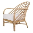 thumbnail image 1 of NPD Furniture Lana Rattan Accent Arm Chair, 1 of 10