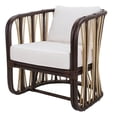 thumbnail image 1 of NPD Furniture Shanaya Rattan Accent Arm Chair in Paloma Brown, 1 of 8