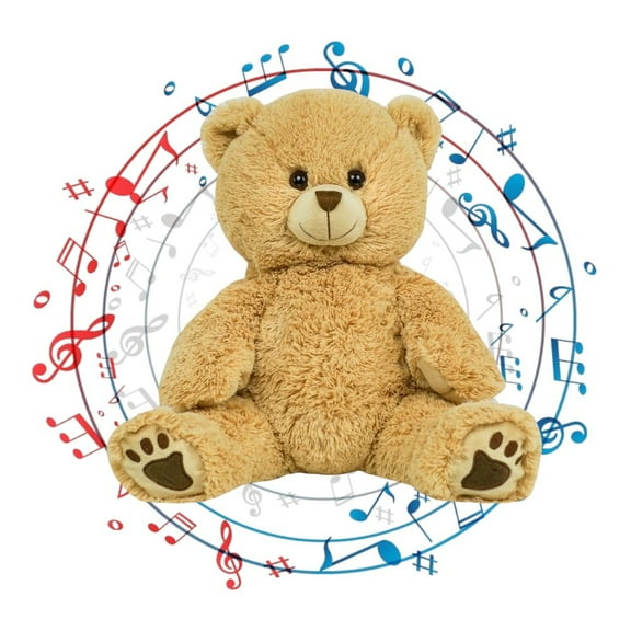 Personalized 16" Recordable Teddy Bear  Custom Voice Message Plush Toy for Kids & Keepsakes