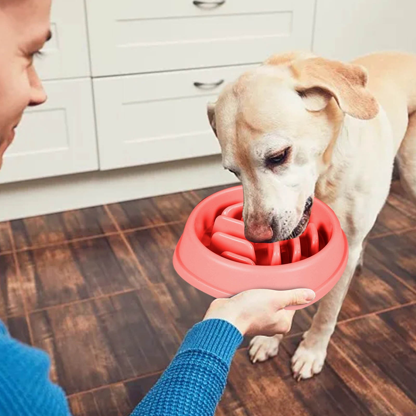 New Pet Slow Food Bowl Dog Proof Food Bowl Large Pet Crate Bowl Holder