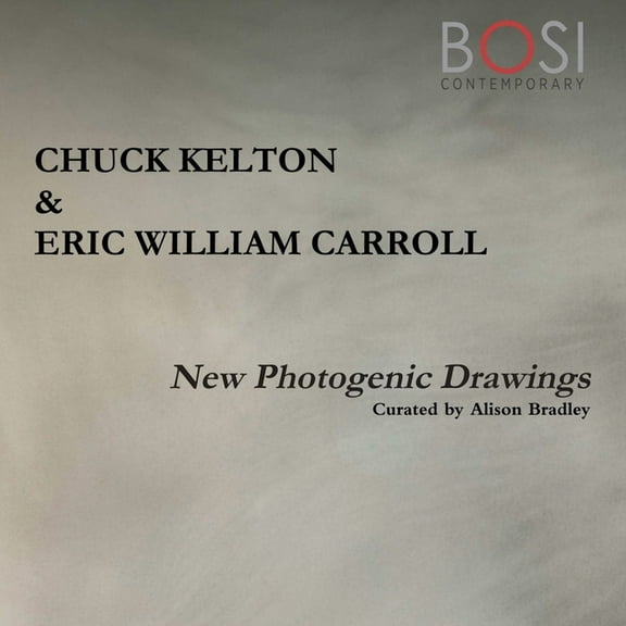 New Photogenic Drawings, (Paperback)