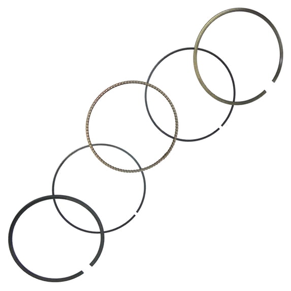 Piston Ring Set Compatible with 2001-2008 Yamaha YFM660FA Grizzly 660 YFM660R Raptor 660R YXR660FA Rhino 660 660cc SOHC +1.00mm 101.00mm Bore Replaces 51-544-07 3YF-11610-40-00