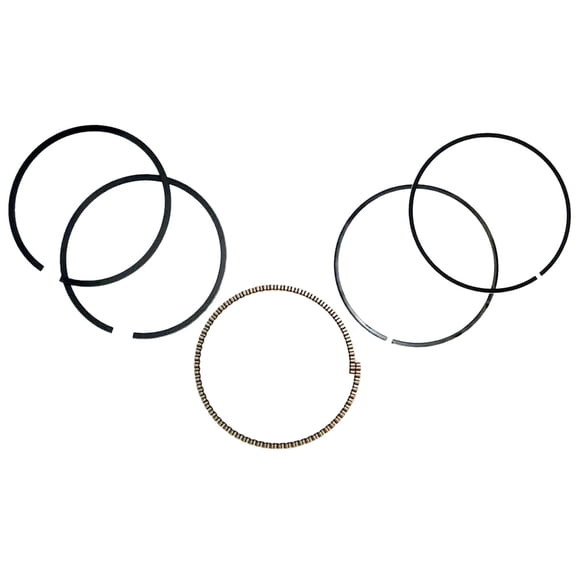 OEM Grade Piston Ring Set Compatible with 1992-2009 Yamaha Timberwolf 250 Bear Tracker Bruin Big Bear 229cc SOHC 4-Stroke ATV Standard Bore 71.00mm 4BD-11631-00-Y0