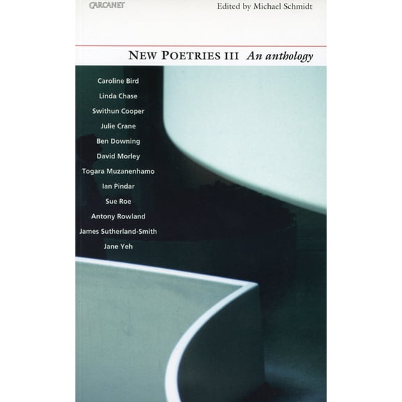 New Poetries III: An Introductory Anthology Volume 3, (Paperback)