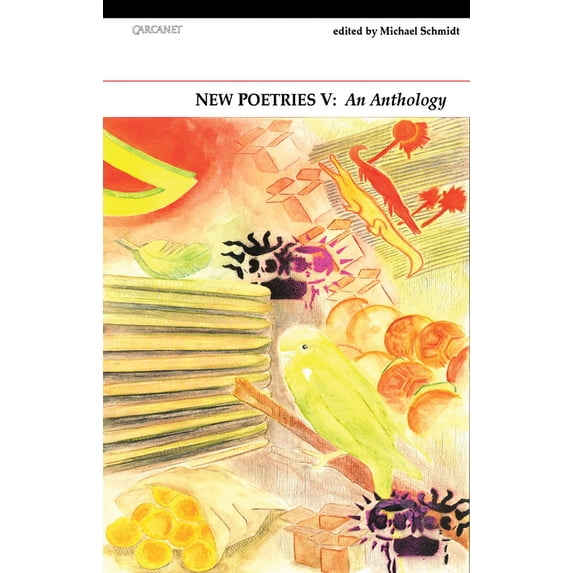 Pre-Owned New Poetries V: An Anthology Volume 5 (Paperback) 1847771319 9781847771315