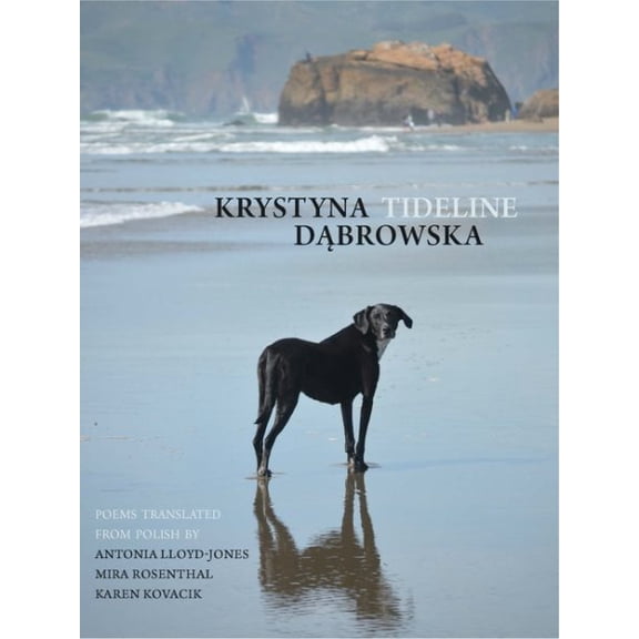 Pre-Owned Tideline (New Polish Writing)