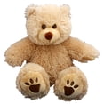 thumbnail image 1 of New Record Your Own Plush 16 inch Brown Bear - Ready To Love In A Few Easy Steps, 1 of 2