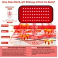 thumbnail image 1 of New Red Light Belt - Body and Muscle Relaxation with Infrared Light Home Use Buckle Adjustable, 1 of 1