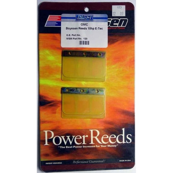 Reed Valve Kit Compatible with Evinrude Johnson E-TEC 15HP 25HP 30HP 2-Cylinder 35.2 Cu In 2-Stroke Direct Injection Outboard 2009 2010 2011 2012 Same 577cc