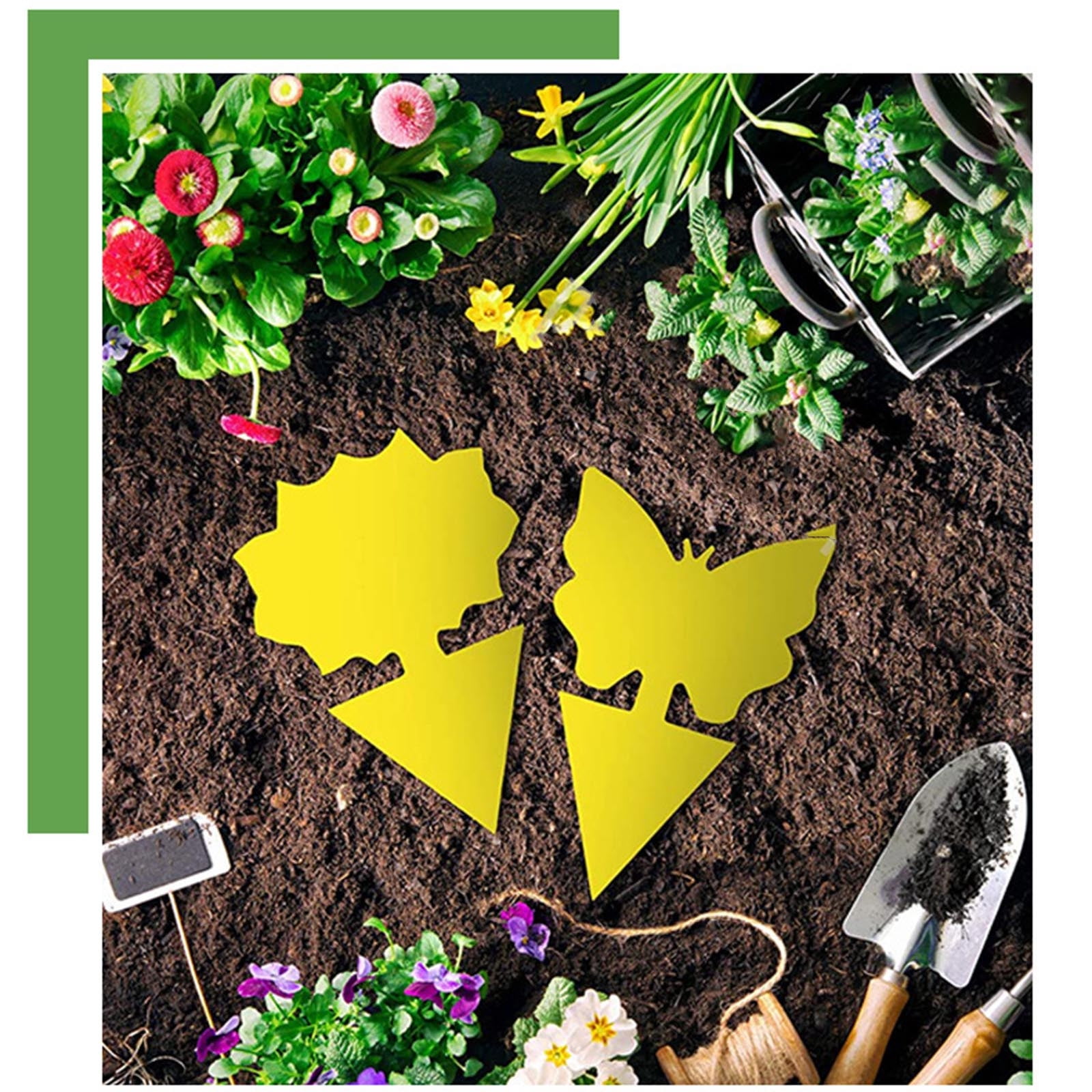 New Release,Fly Traps Board-Sided Insect Catcher Plant Flying Insect ...