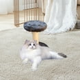 thumbnail image 1 of New Release JGF844 Sisal Cats Scratching Post Cats Climbing Frame Cats Tree Small Cats Toy Cats Jumping Terrace Corpuscle Board, 1 of 6