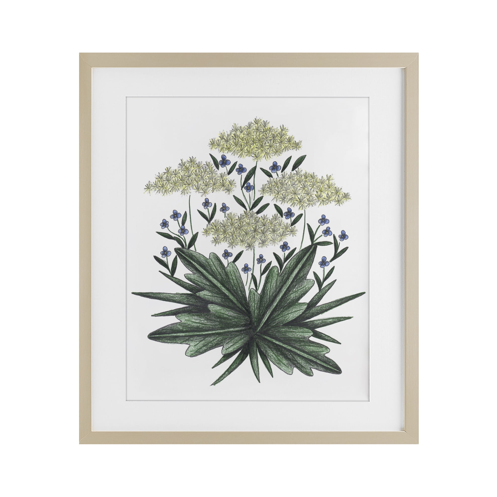 New Roots Vintage Sketch Birch Framed Print Under Glass, design by Cecilia Battaini