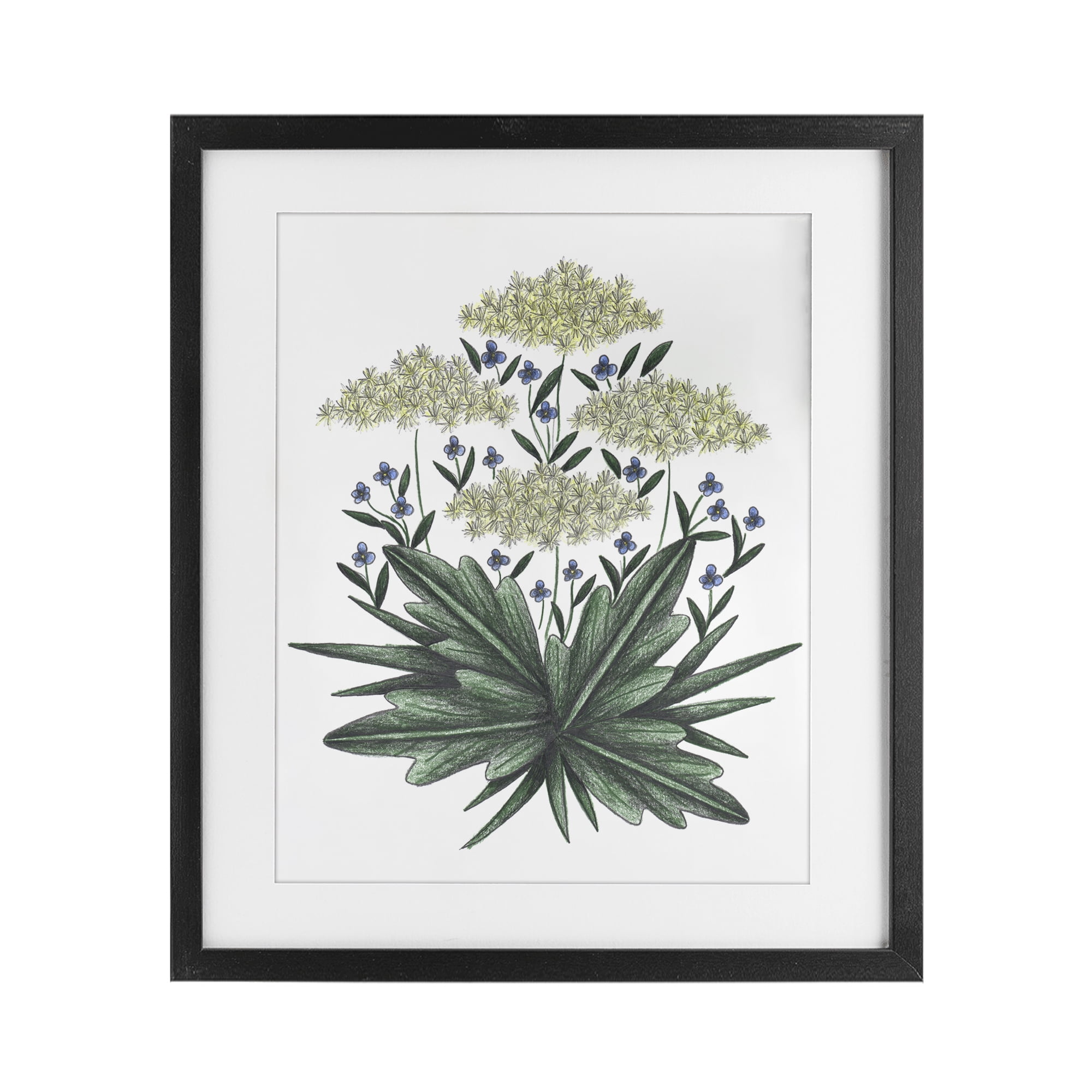 New Roots Vintage Sketch Black Framed Print Under Glass, design by Cecilia Battaini