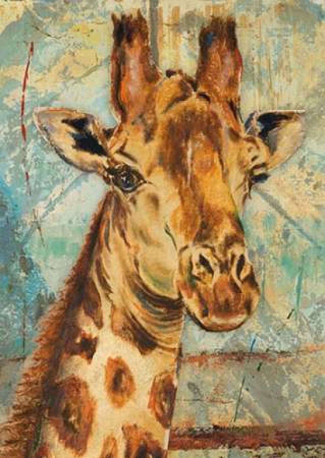 New Safari Rectangle I Canvas Art - Patricia Pinto (20 x 28)
