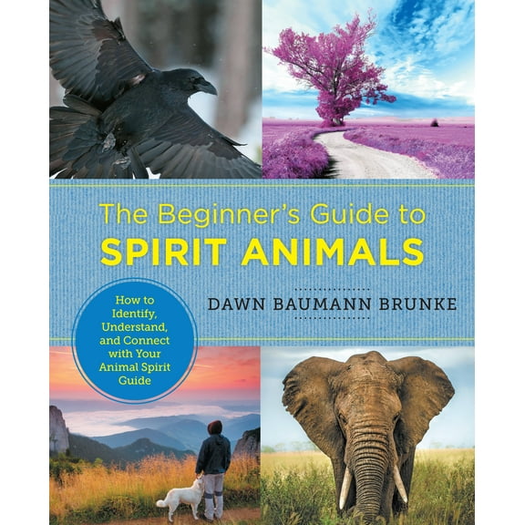 New Shoe Press: The Beginner's Guide to Spirit Animals : How to Identify, Understand, and Connect with Your Animal Spirit Guide (Paperback)