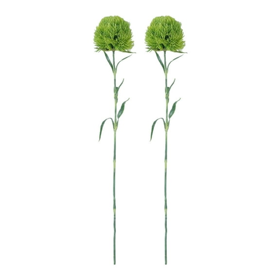 New Simulation Of Green Plants Green Dianthus Green Hair Balls Home Hotel Decoration Fake Flowers Floral Landscaping Materials(Light Green)