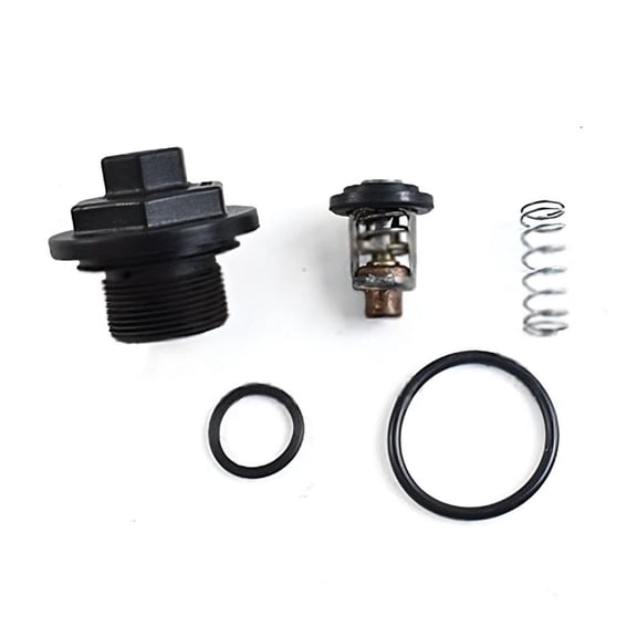 143F Thermostat Kit Compatible with 2005-2012 Johnson Evinrude E-TEC 200 225 250 HP 2008-2012 300 HP 90 Degree V6 Outboard 3.3 3.4 Liter BRP OMC 0344771 344771 769082 5005440