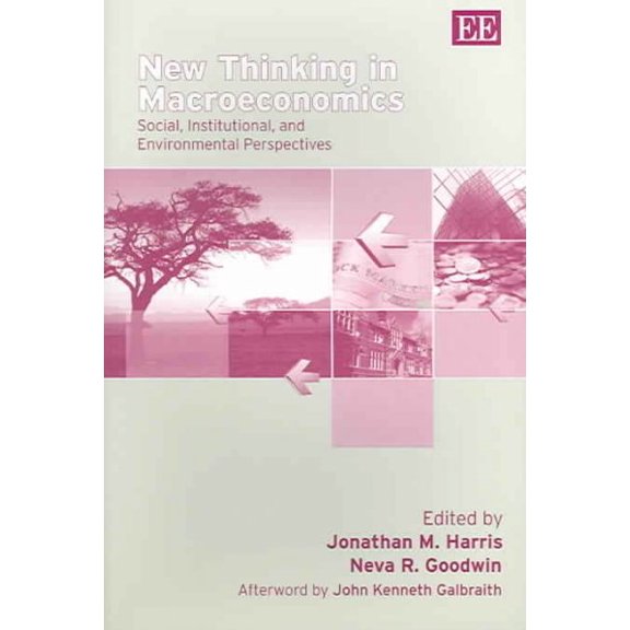 New Thinking In Macroeconomics : Social, Institutional, And Environmental Perspectives