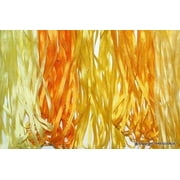 New ThreadNanny 7mm Size Yellow Tones 5 Spools of 100% Pure Silk Ribbons - 50 Mts x 7mm