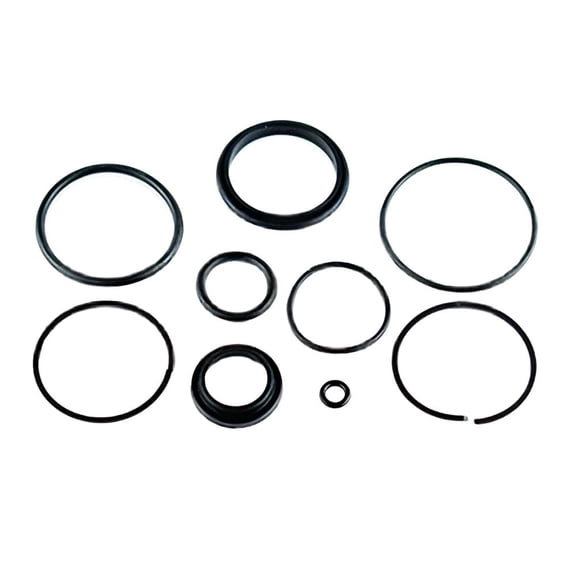 Hydraulic Trim Tilt Seal Kit Compatible with 1986-1989 Johnson Evinrude 35HP 40HP 45HP Outboard Showa Power Trim System Replaces 0174520 0766439