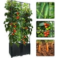 New Upgraded Large Raised Garden Bed Planter Boxes with Trellis, 65