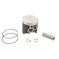 thumbnail image 1 of New Vertex Cast Replica Piston Kit 24391B for Beta RR 2T 300 2013-2017, 1 of 3