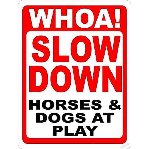 New Warning Metal Tin Signs Notice Security Measures for Access Control Maritime Signs Street Sign 20 x 30 cm 8 x 12 inches (Height x Length)