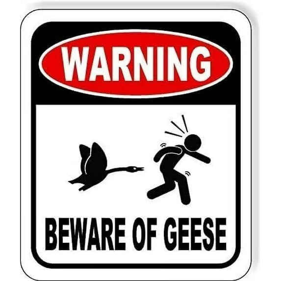 New Warning Plaque Wall Decor Warning Beware Of Geese Metal Tin Signs Yard Sign Office Sign Outdoor & Indoor Safety Sign 8 X 12 Inch