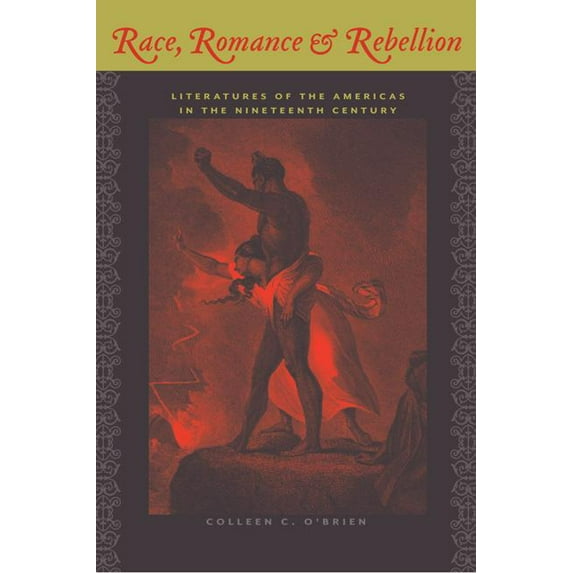New World Studies: Race, Romance, and Rebellion : Literatures of the Americas in the Nineteenth Century (Paperback)