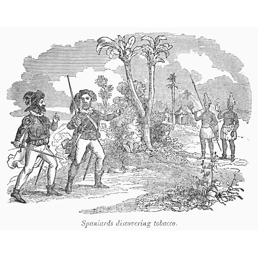 New World Tobacco. Nspanish Explorers In The New World Discover Tobacco