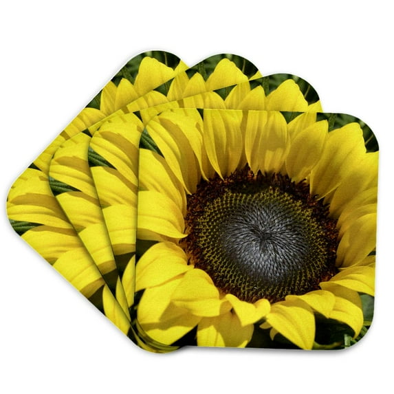 3drose, New Yellow Sunflower- Flowers- Floral Photography- Summer, Set of 4 Coasters - Soft