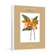 thumbnail image 1 of New York Botanical Garden: Wall of Orchids : 20 Rare Botanical Prints to Frame (Poster), 1 of 1