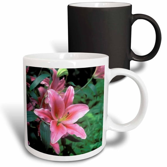 3drose, New York Botanical Gardens, Oriental Lily, Bronx., 11oz Magic Transforming Mug