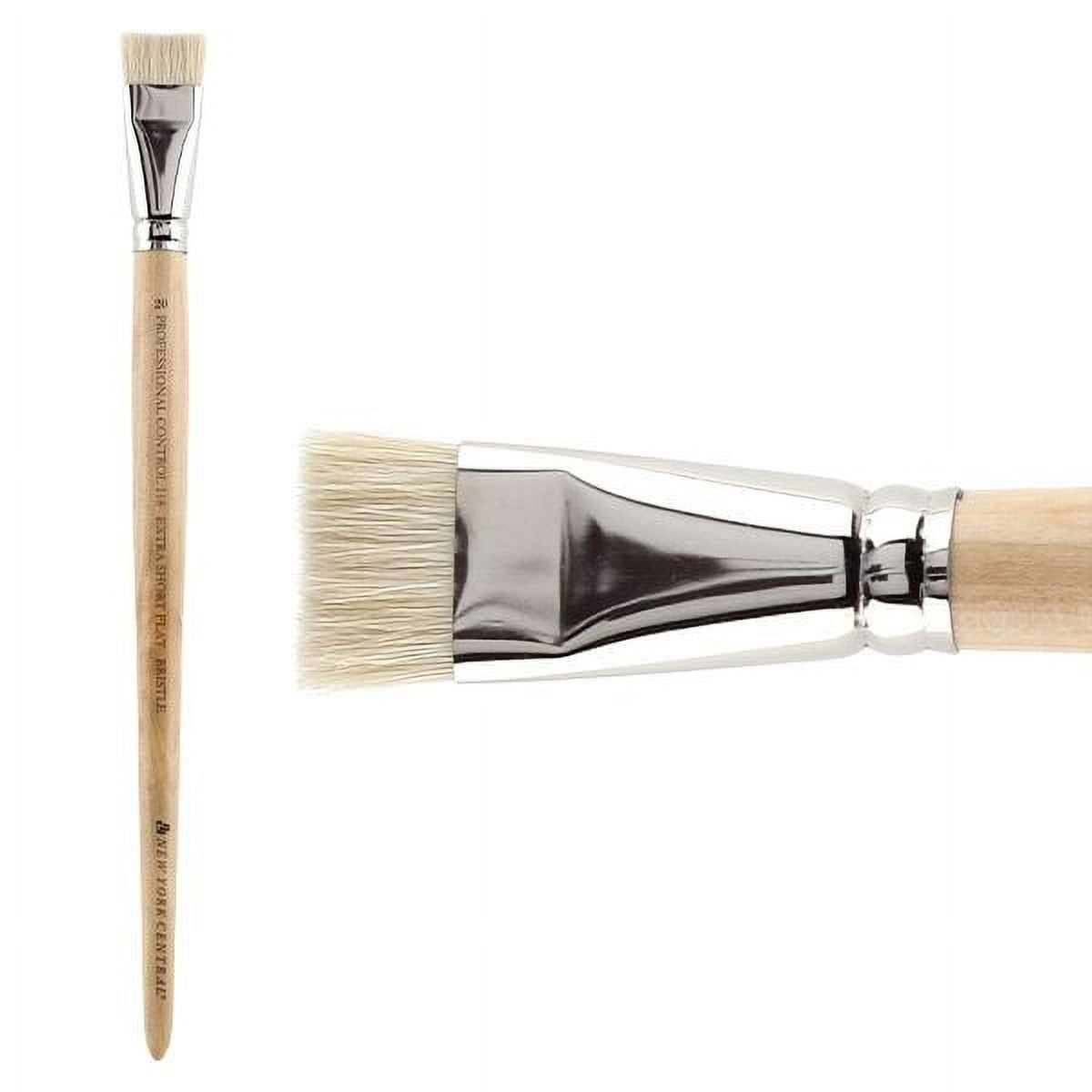 New York Central Professional Control Oil Brushes - Luxury Professional Brushes for Oil Paint, Artists, Superior Control, & More! - [Hog Bristle Super Short Flat - Size 20]