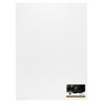 thumbnail image 1 of New York Central Watercolor Paper Sheets, 22x30 Inch, 140lb Cold Press, Pack of 10 - Professional Grade, Acid-Free, Archival - For Wet and Dry Media, 1 of 7