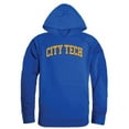 thumbnail image 1 of New York City College of Technology Yellow Jackets Hoodie, Royal - Large, 1 of 1