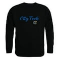 thumbnail image 1 of New York City College of Technology Yellow Jackets Script Crewneck Sweatshirt, Black - Medium, 1 of 1