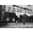 thumbnail image 1 of New York City History (24 x 18), 1 of 2