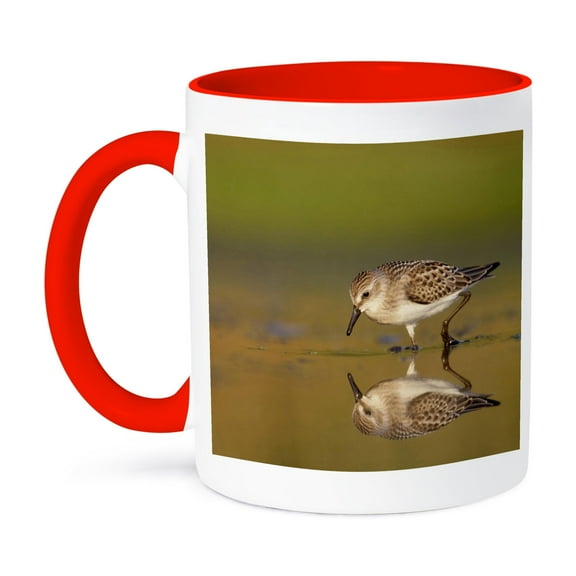 New York City, Jamaica Bay Refuge, Sandpiper Bird - Us33 Bja0045 - Jaynes Gallery, 11oz Two-Tone Red Mug