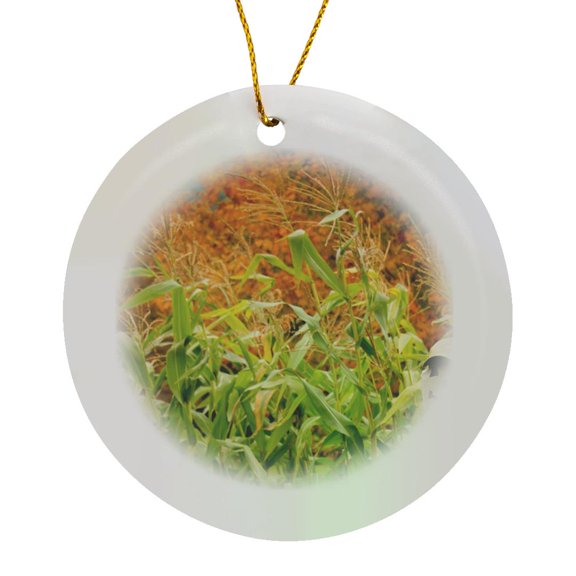 3drose, New York, Cooperstown, Farmers Museum. Fall Cornfield with Scarecrow., Circle Porcelain Ornament