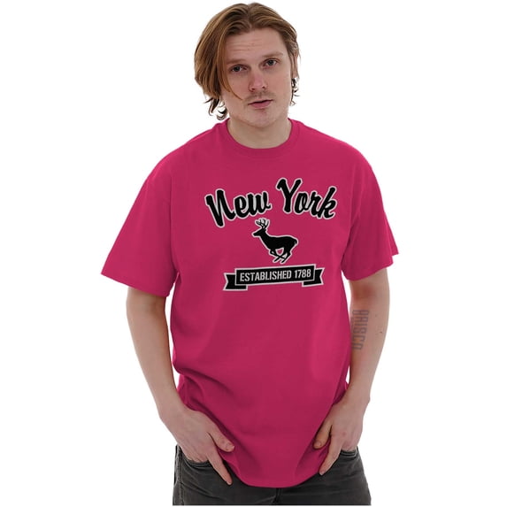 New York Cute Upstate Deer Souvenir Plus Size Crewneck Graphic Tee Shirt Brisco Brands 4X