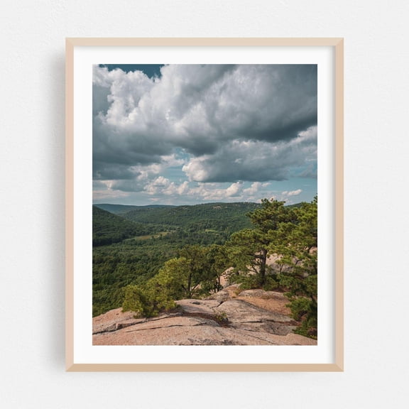 New York Forest Mountain Summer Landscape Poster Unframed Paper Print