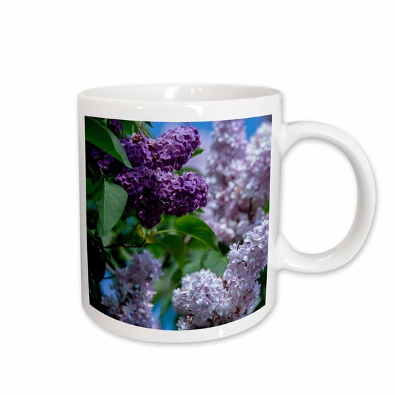 3drose, New York. Lilac Flowers in Bloom., 11oz Mug
