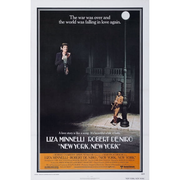 New York New York Movie Poster 16in x 24in 16x24 Multi-Color Square Adults Best Posters