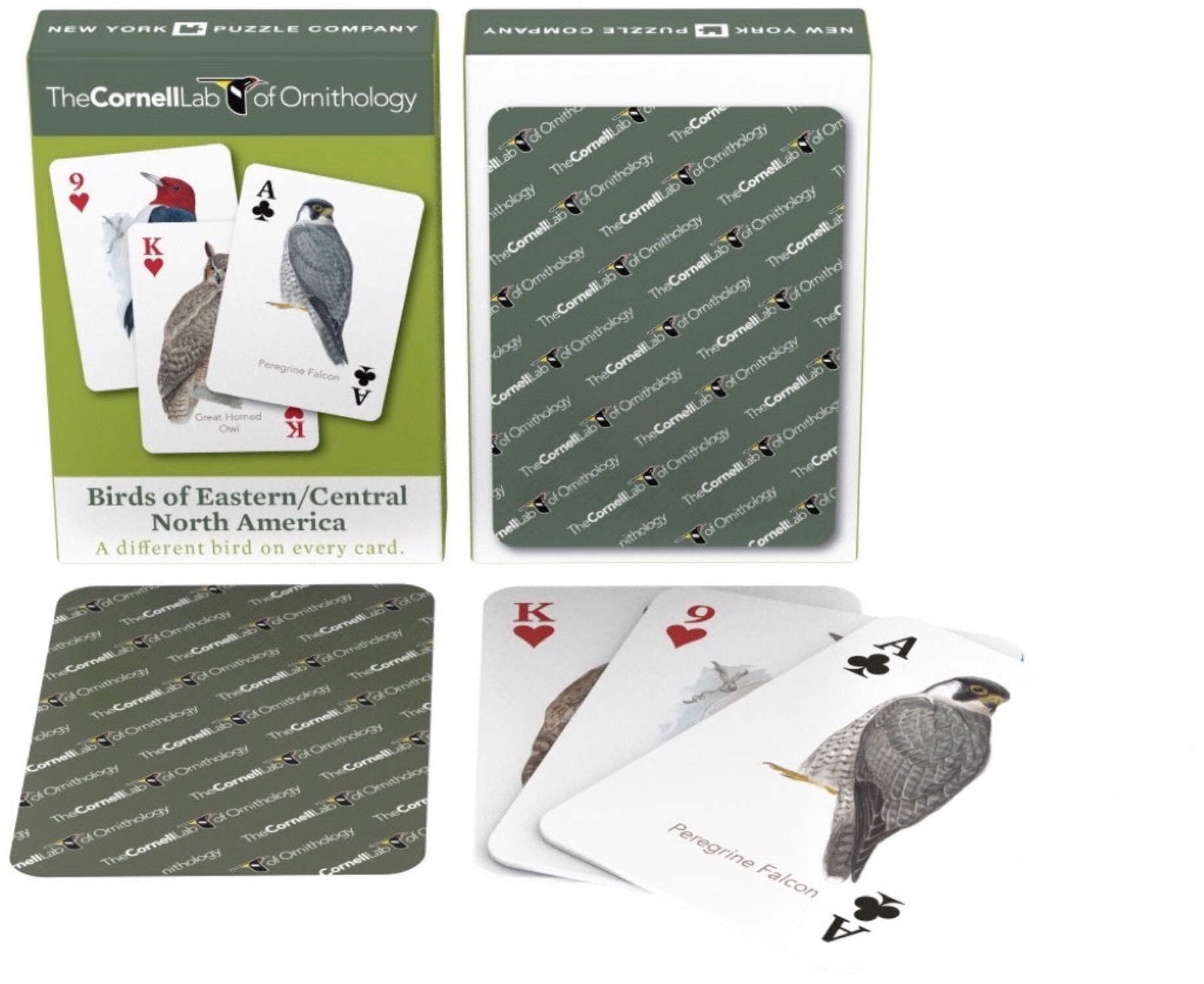 New York Puzzle Company Birds of Eastern/Central North America Playing Cards Single Standard Deck