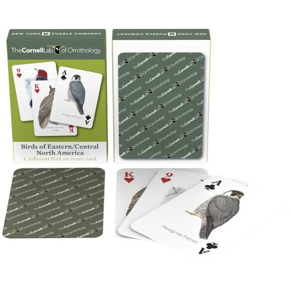 New York Puzzle Company Birds of Eastern/Central North America Playing Cards Single Standard Deck