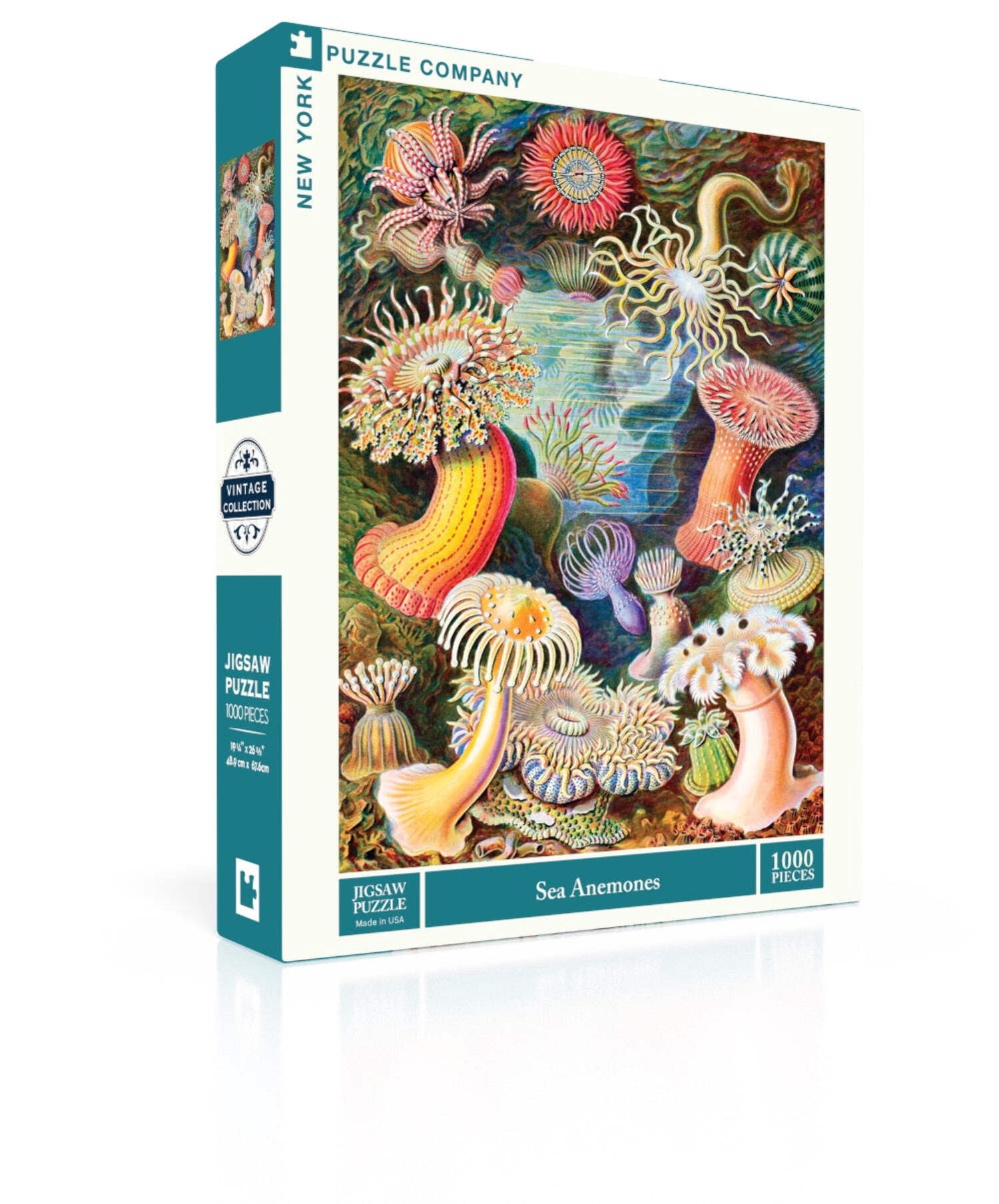 New York Puzzle Company Sea Anemones 1000 Piece Jigsaw Puzzle - Walmart.com