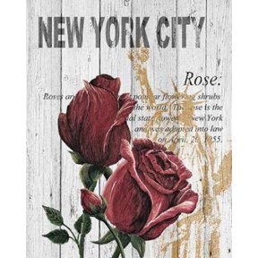 New York Roses Canvas Art - Alicia Soave (24 x 30)
