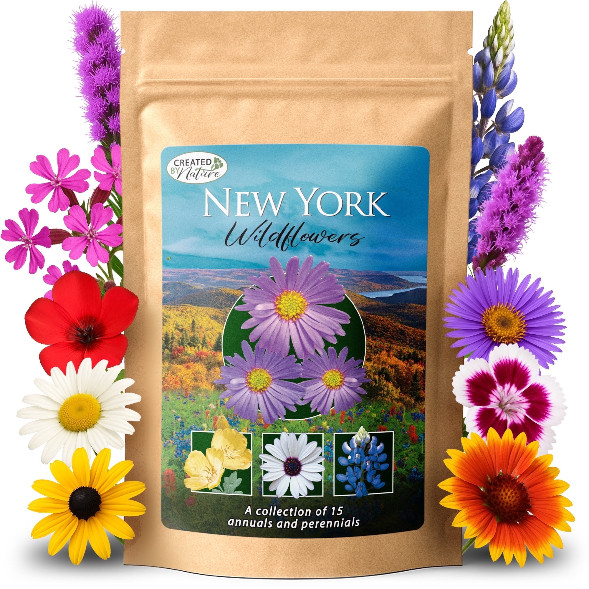 New York Wildflower Seed Mix, 15 Flower Variety, 50,000 Seeds - Created By Nature