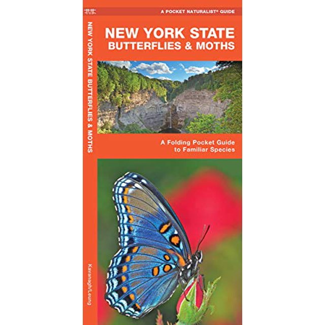 Pre-Owned New York State Butterflies & Moths: A Folding Pocket Guide to Familiar Species (A Pocket Naturalist Guide) Paperback